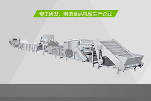 大蔥清洗機 2019強烈推薦
