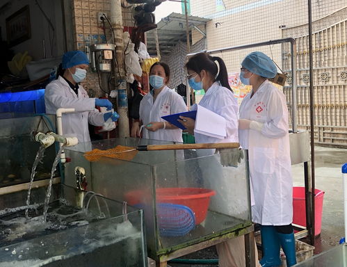 縣疾控中心對全縣農貿市場開展環境和重點食品新冠病毒應急監測工作