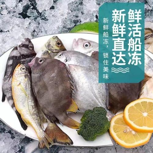 鮮活船凍海雜魚新鮮深海魚冷凍海鮮拼盤生鮮水產品少刺壞單包賠