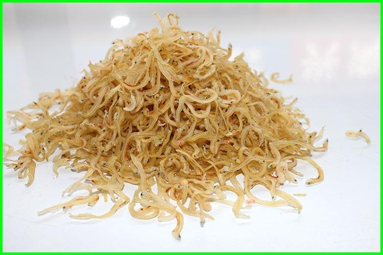 整箱銀魚仔廠家粗加工水產品小銀魚榮成海產干貨銀魚干