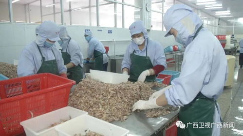 廣西 強化金融支持 促進外貿外資平穩發展
