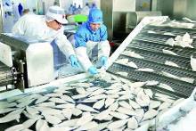 舟山精深加工水產品俏銷海外(圖)-新聞頻道-手機搜狐