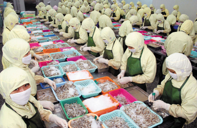 海南日報數字報