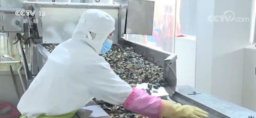 大食物觀 里的產業升級 水產預制菜延長水產養殖產業鏈