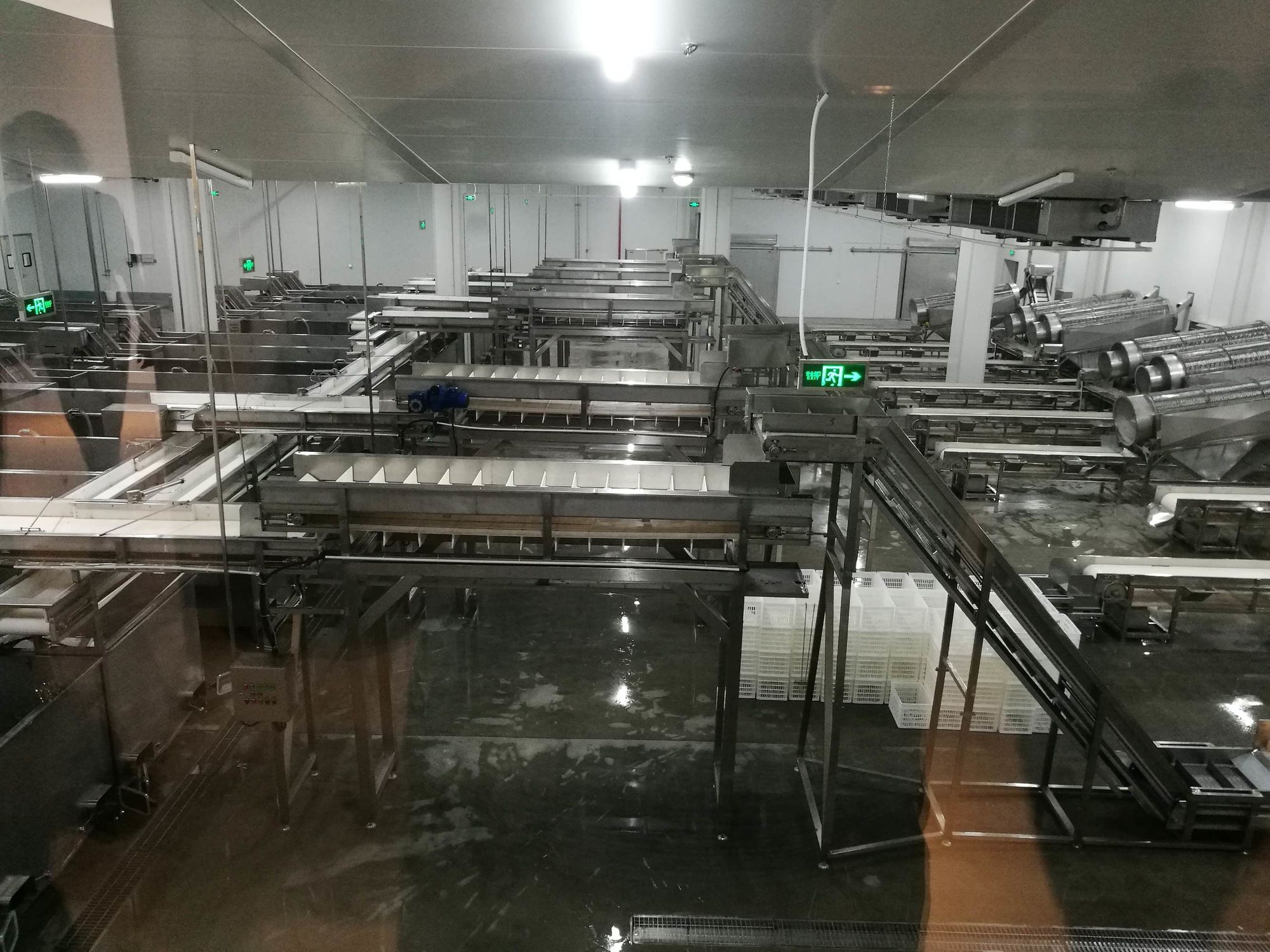 新型水產冷鏈加工