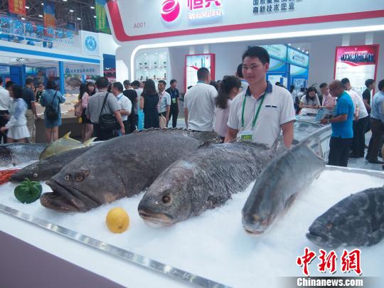 2018中國水博會在廣東湛江舉行 逾3000家國內外客商參會