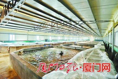 水產品加工進出口 領跑全省漁業經濟