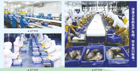 從品牌戰略實施走向海產品精深加工
