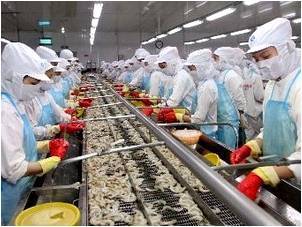 澳大利亞水產品進口協會高度評價越南水產品質量-加工貿易- 中國水產門戶網 - 最具影響力的水產網站