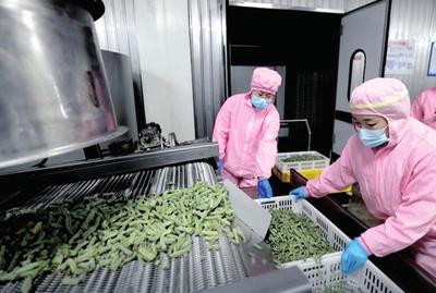 三農日報|政策:鼓勵資本助推生態循環農業;農村新電商模式正成為趨勢