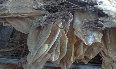 【海鮮干貨 舟山特產 魷魚干干魷魚】價格,廠家,圖片,干制水產品,舟山市普陀區展茅錦鴻水產加工廠-