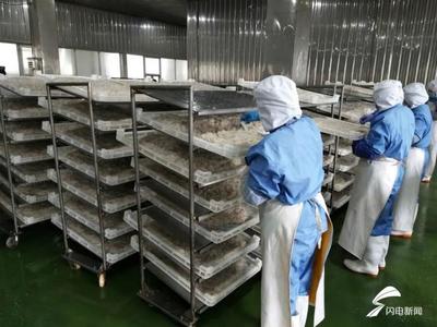 威海環翠區企業復工穩步提高產能 加速完成訂單任務