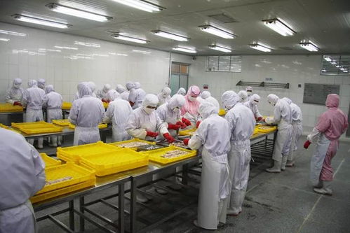 點贊 石島兩個企業品牌閃耀全國