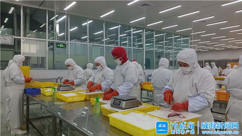 規范 入國門 ,健康 上餐桌 威海嚴把冷鏈食品安全關
