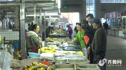 休漁期島城水產品供應不斷檔 市民餐桌不受影響