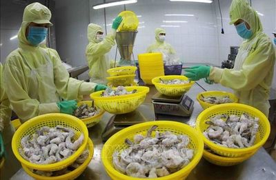 中國暫停進口日本水產品,越南坐收漁翁之利?