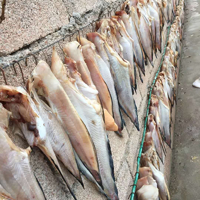 【威海特產老冷干先生魚獅子魚干貨批發其他粗加工水產品