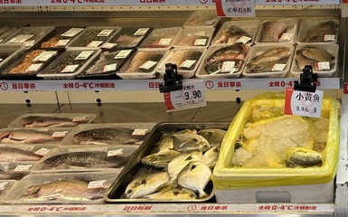 耕海牧漁,錢大媽&從海水產王特鯧標準養殖示范基地正式揭牌