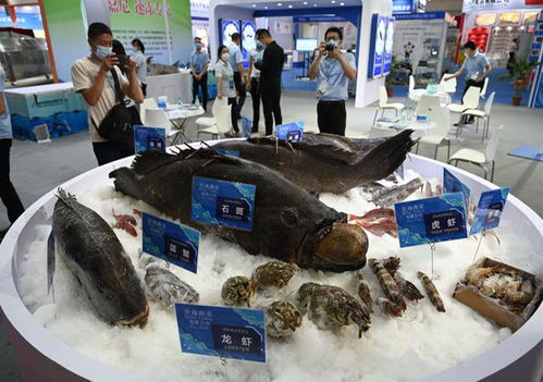 2021中國 福州 國際漁業(yè)博覽會將于6月3日在海峽國際會展中心舉辦