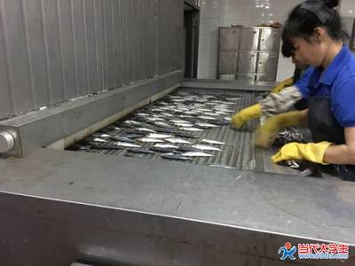 知行合一,實踐真知--廈大“FSF實踐隊”深入水產加工企業_實踐動態_社會實踐_校園資訊_當代大學生網