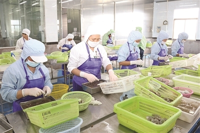 ·潮州日報數字報·潮州新聞網