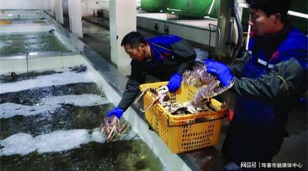 琿春市大力發展海產品加工業