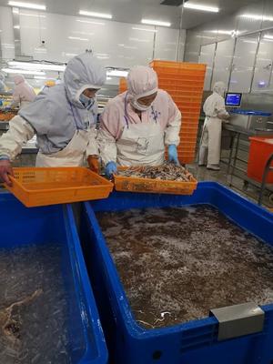 “十三五”舟山遠洋漁業實現全新跨越