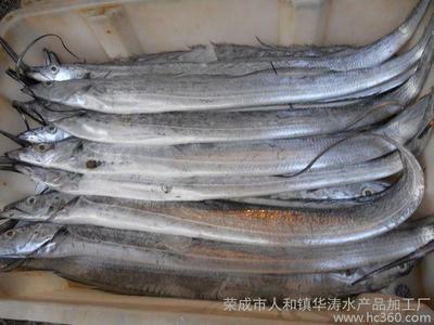 榮成市人和鎮華濤水產品加工廠
