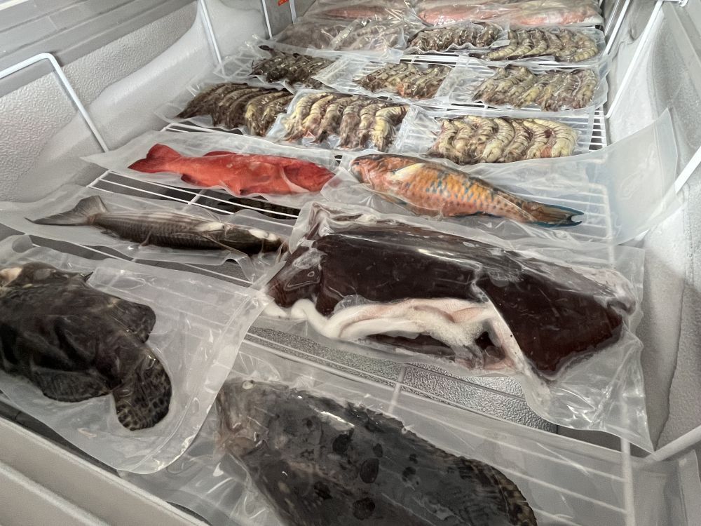 大年餐桌·“鮮”有海南|越來越多“生猛海鮮”,從海南加速“游”上全國餐桌