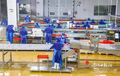 1000億元以上!湛江這個產業瞄準新目標!