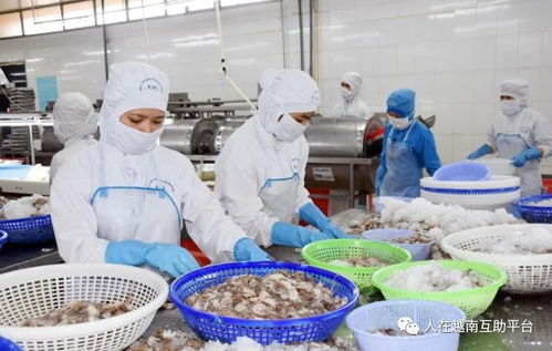 促進越南農產品對中國市場的正貿出口