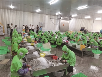 企業(yè)用工有保障 外流勞力漸回歸