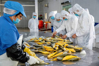 饒平特色水產(chǎn)品暢銷“一帶一路”,今年第一季度出口同比增2.6倍
