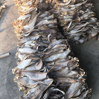 【威海特產(chǎn)老冷干先生魚獅子魚干貨批發(fā)其他粗加工水產(chǎn)品