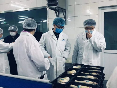 他們的假期,是假的
