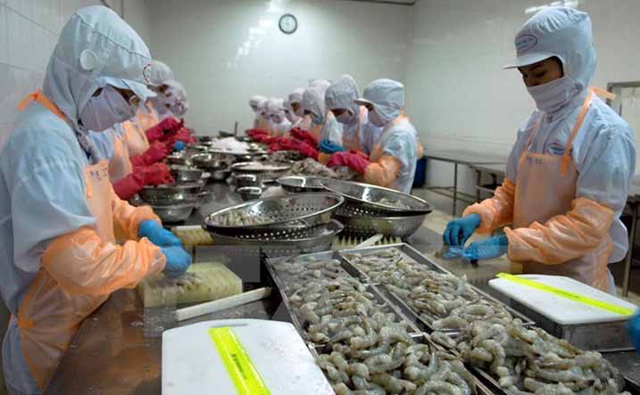 越南水產(chǎn)加工企業(yè)應注重開拓國內(nèi)市場