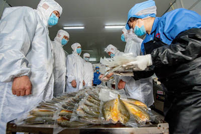 饒平特色水產(chǎn)品暢銷“一帶一路”,今年第一季度出口同比增2.6倍