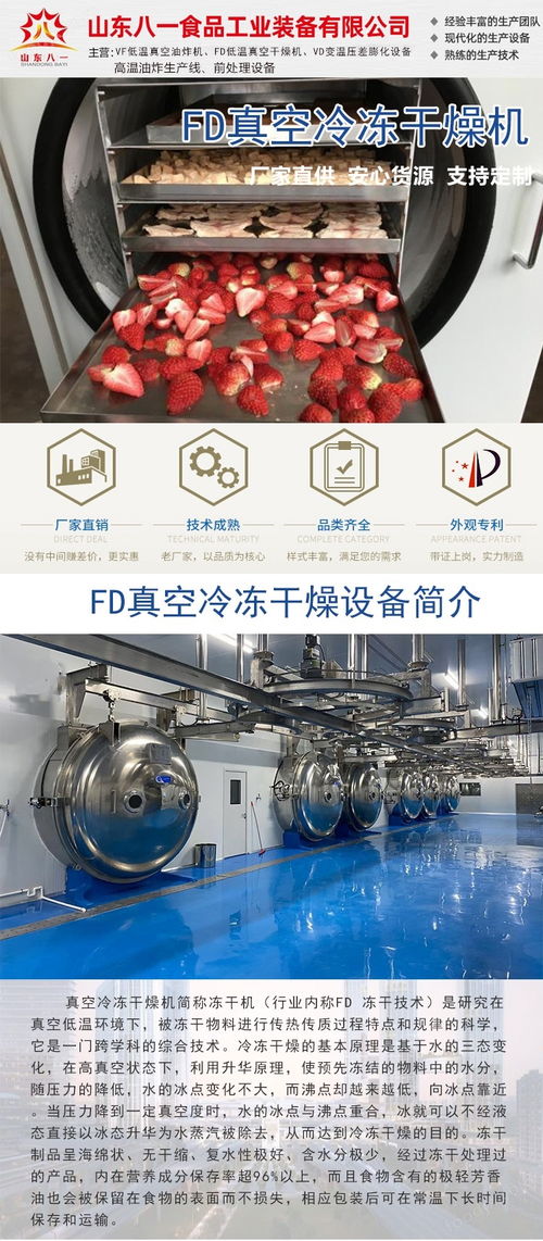 大型沙棘凍干機