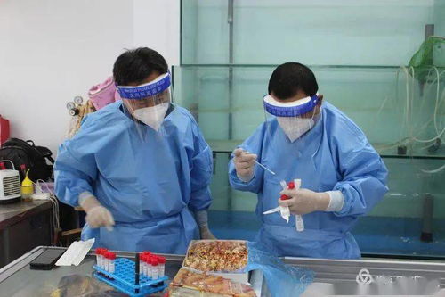 章丘區(qū)疾控中心開展市場環(huán)境和重點食品 新冠病毒污染情況應(yīng)急檢測