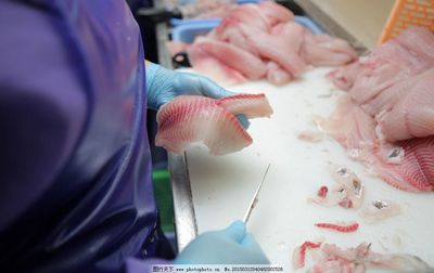 加工魚肉圖片