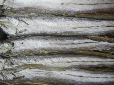 【廠家直供干貨海鮮淡鰻魚干】價格,廠家,圖片,農(nóng)副產(chǎn)品加工,象山縣石浦東升水產(chǎn)加工廠-