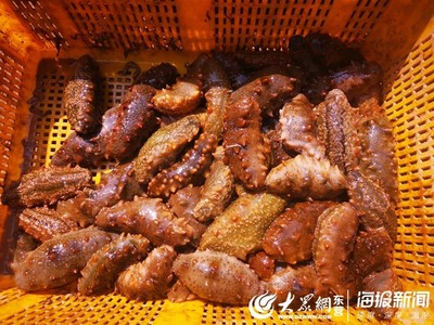 河口區孤島鎮讓水產品“游”出致富路