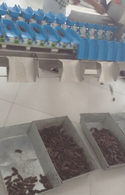 果蔬真空包裝機_加工設備價格_中國水產養殖網