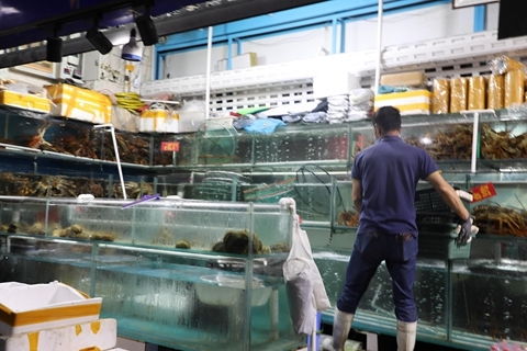 大連新冠患者多來自海鮮加工廠 專家分析海鮮之謎