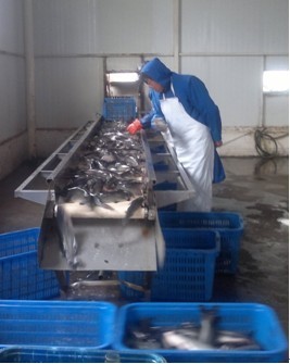 圣美專家受邀考察湖北某水產農業產業化國家級龍頭企業 -第一營銷網 -