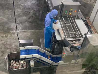 為了你的餐桌年年有“魚”,全國人大常委會啟動了這項執法檢查