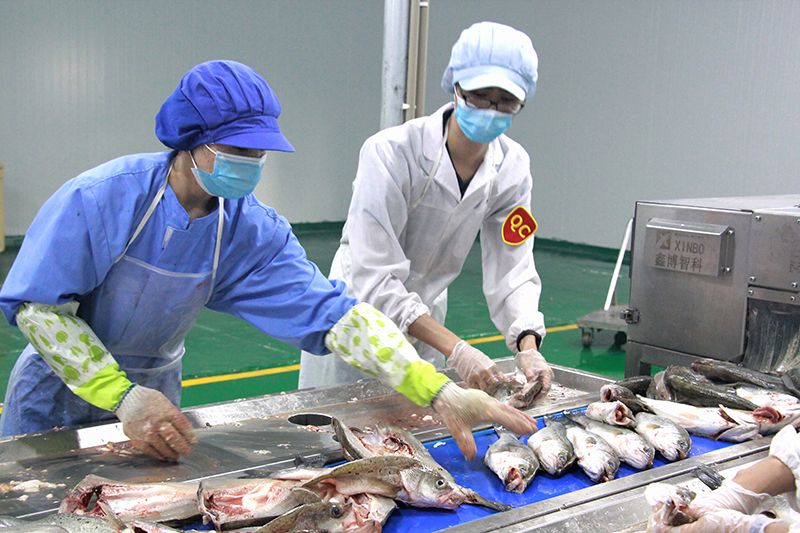 兩分鐘鎖住活魚鮮味 ——品珍優鮮旗下鮮品達豐瀛加工廠水產.