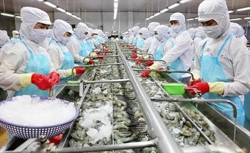 全球水產(chǎn)品銷售需求穩(wěn)定是越南水產(chǎn)加工與出口企業(yè)的增長動力。水產(chǎn)領(lǐng)域獲視為正在面對