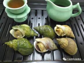 強(qiáng)勢來襲 唯有美食不可辜負(fù),明天相約廣州漁博會,這些精彩不容錯過