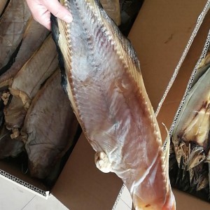【威海特產老冷干先生魚獅子魚干貨批發其他粗加工水產品